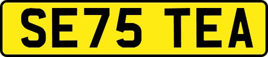 SE75TEA