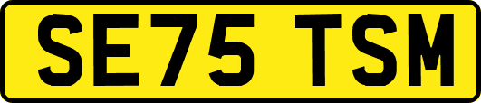 SE75TSM