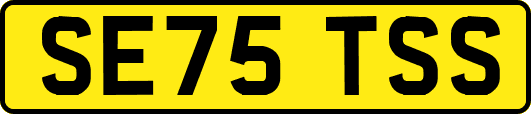 SE75TSS