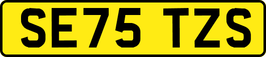SE75TZS