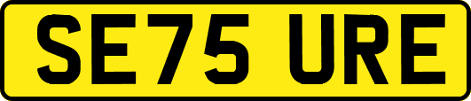 SE75URE