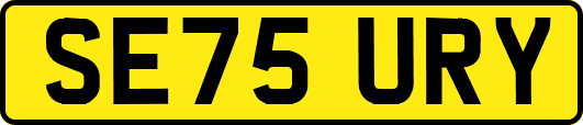 SE75URY