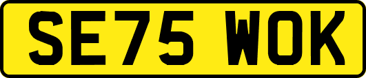 SE75WOK