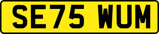 SE75WUM