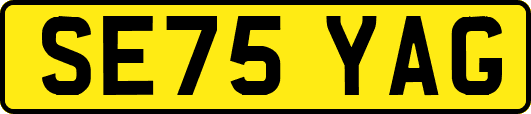 SE75YAG