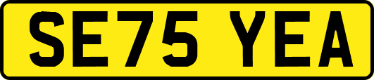SE75YEA