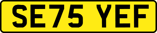 SE75YEF