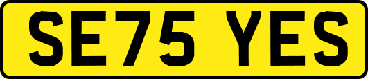 SE75YES