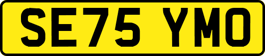 SE75YMO