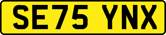 SE75YNX