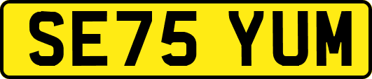 SE75YUM