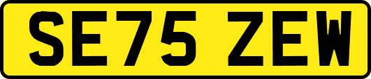 SE75ZEW