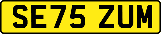 SE75ZUM