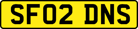 SF02DNS