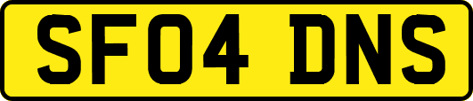 SF04DNS