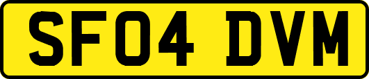 SF04DVM