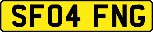 SF04FNG