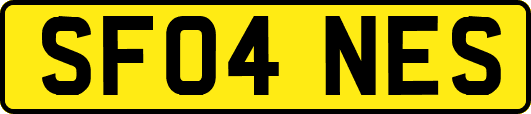 SF04NES