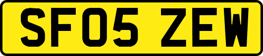 SF05ZEW