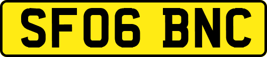 SF06BNC