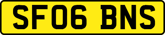 SF06BNS