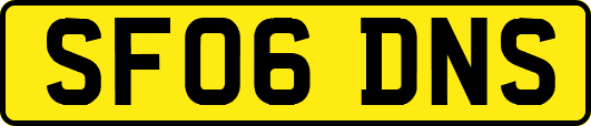SF06DNS
