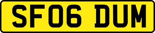 SF06DUM