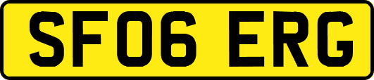 SF06ERG