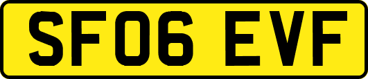 SF06EVF