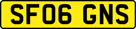 SF06GNS