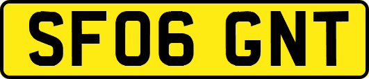SF06GNT