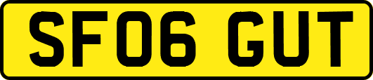 SF06GUT