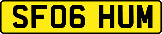 SF06HUM