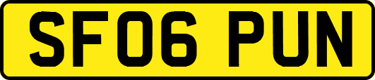 SF06PUN