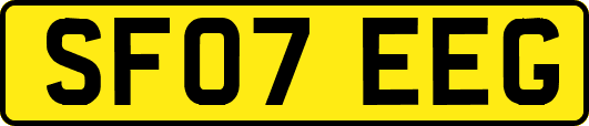 SF07EEG
