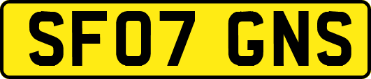 SF07GNS