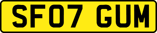 SF07GUM
