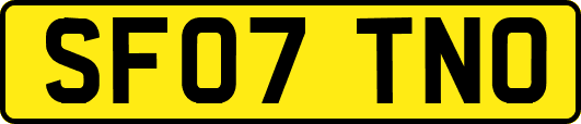 SF07TNO