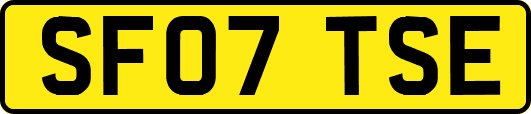 SF07TSE