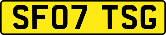 SF07TSG