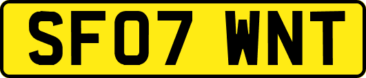 SF07WNT