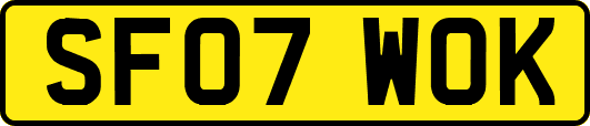 SF07WOK