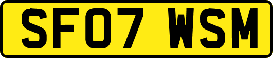 SF07WSM