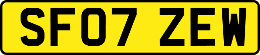 SF07ZEW