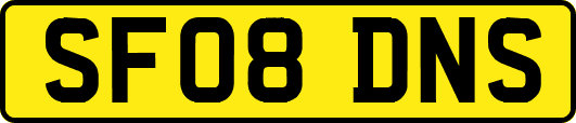 SF08DNS