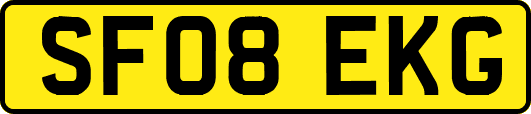 SF08EKG