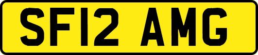 SF12AMG