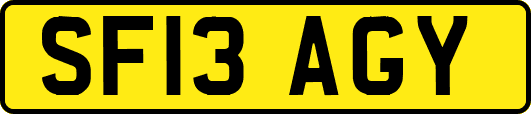SF13AGY