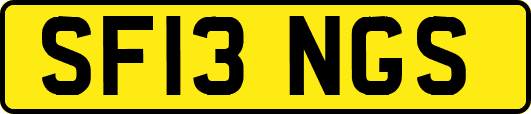 SF13NGS
