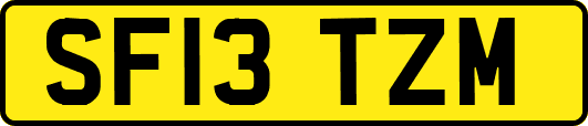 SF13TZM